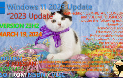 Windows 11 23H2 Updated March 2024 OS Builds 22631.3296