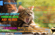 Windows 10 22H2 Updated July 18, 2023 OS Builds 19045.3208