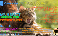 Windows 10 22H2 Updated September 2023 OS Builds 19045.3448