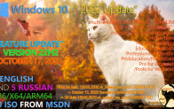 Windows 10 22H2 Updated October 2023 OS Builds 19045.3570