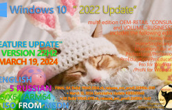 Windows 10 22H2 Updated March 2024 OS Builds 19045.4170